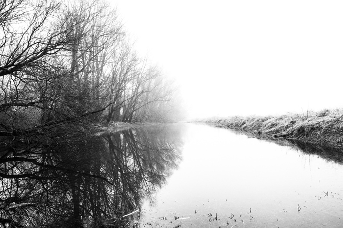 Bare trees reflected beside a quiet channel