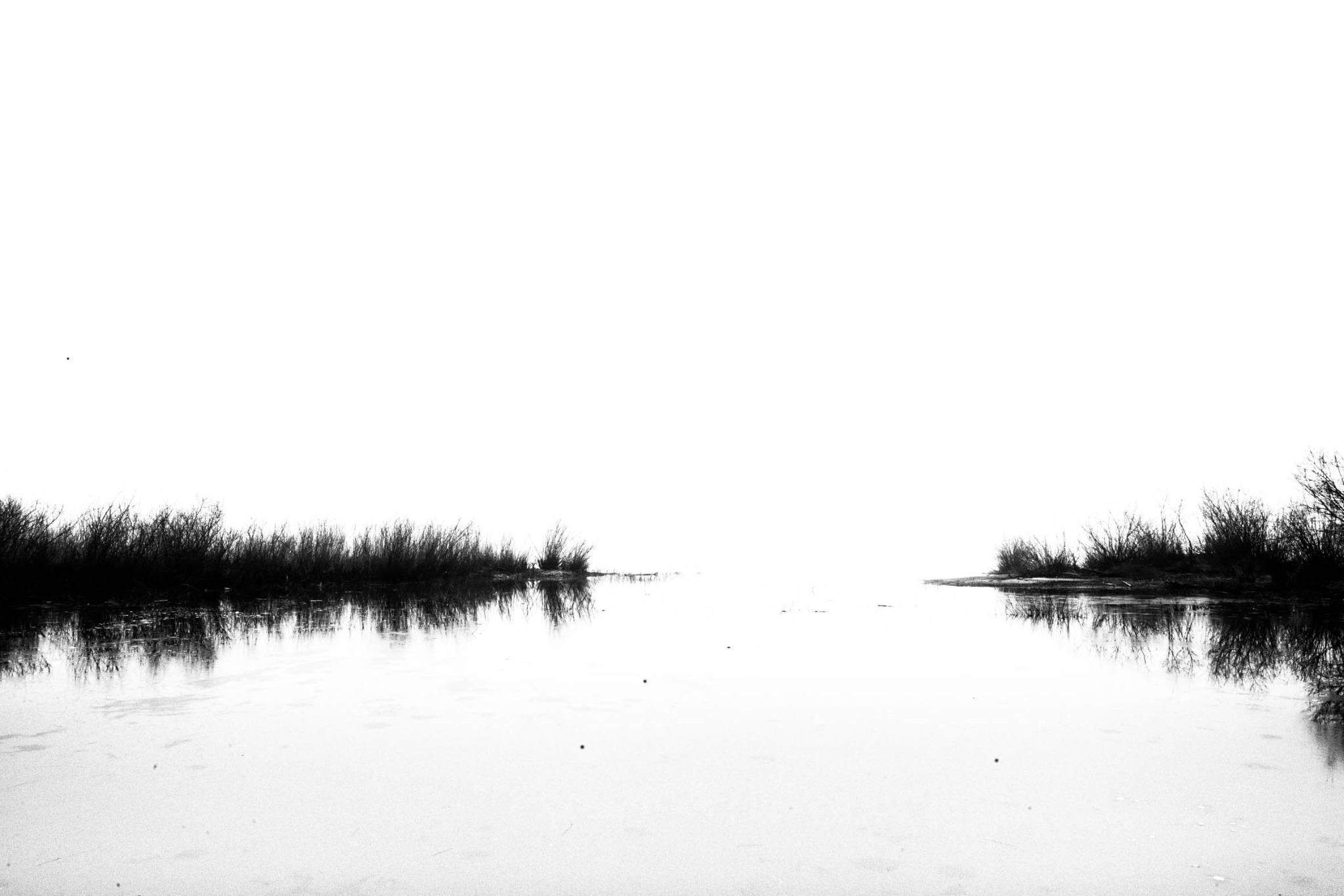 Two wooded banks reflected in still water with a pale opening between them