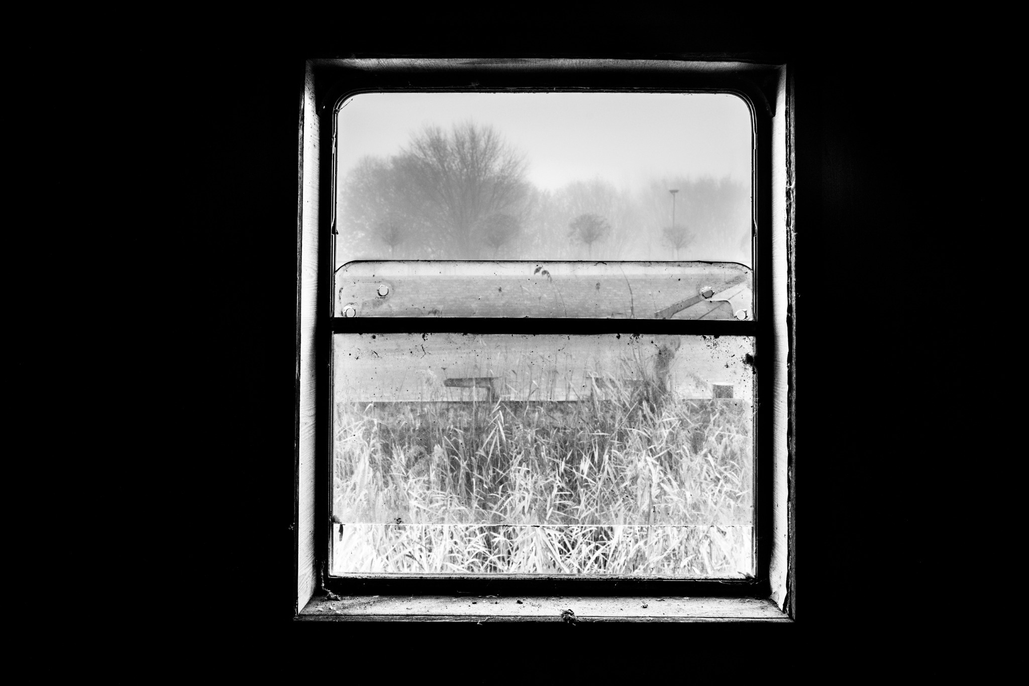 Trees and water seen through a window in a dark interior