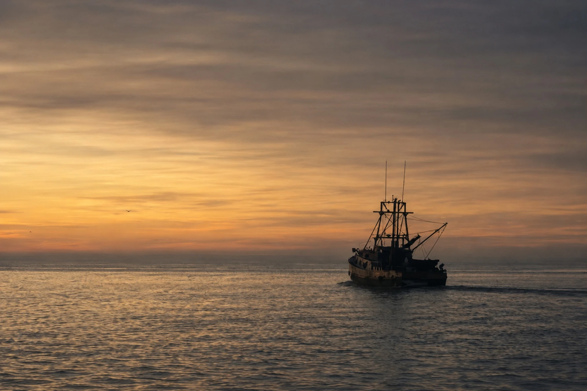 A fishing boat silhouetted against a warm sunset over the sea