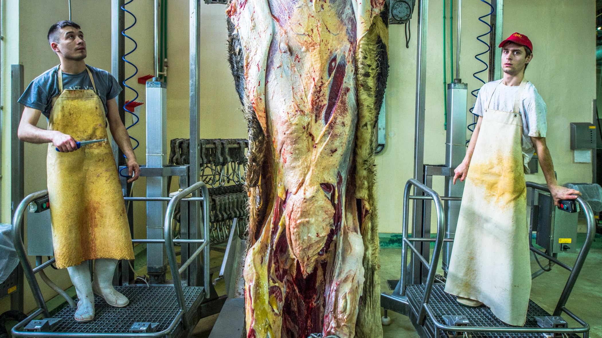 Killing for living — photograph 1, DSC_0557