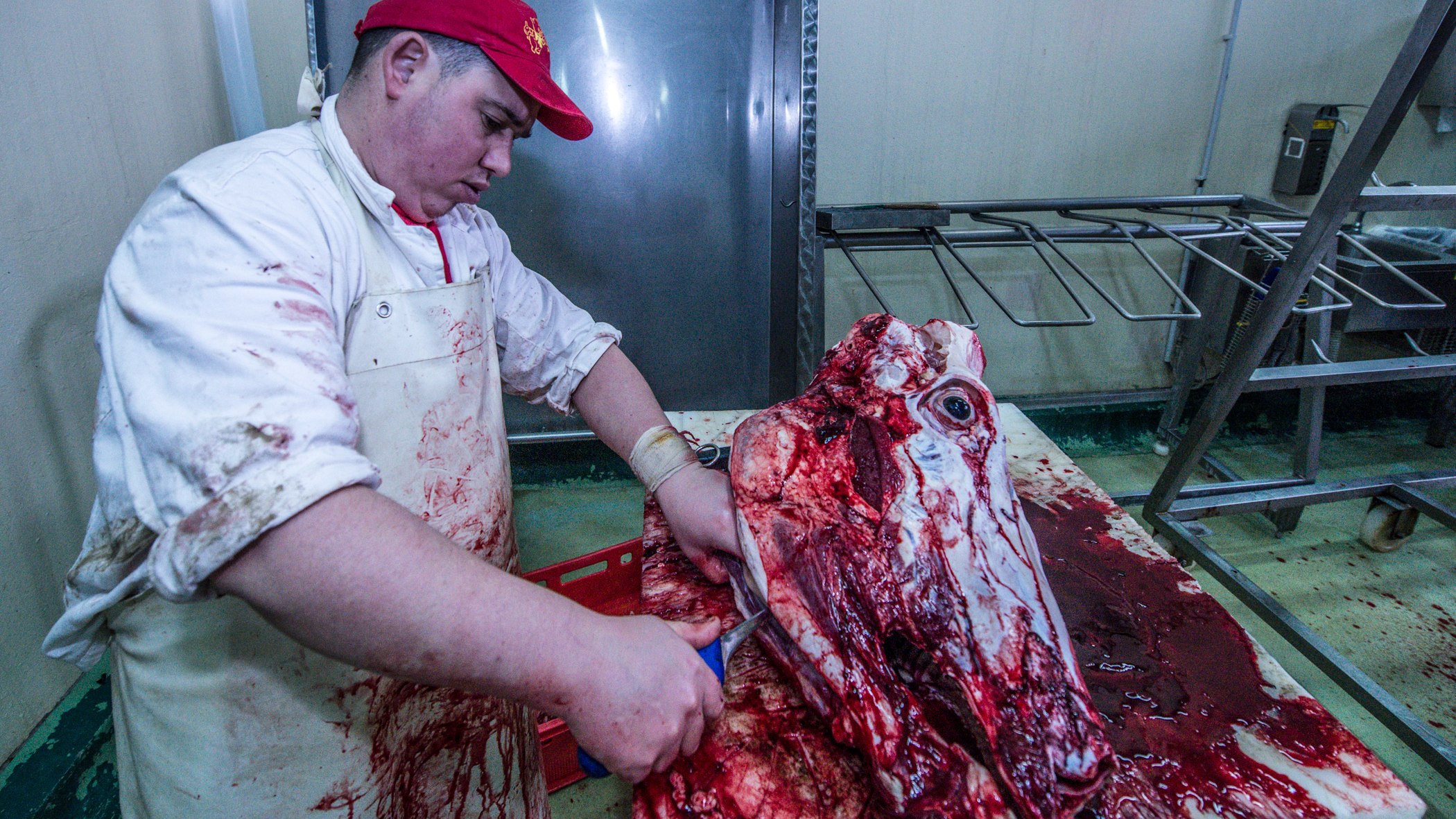 Killing for living — photograph 4, DSC_0570
