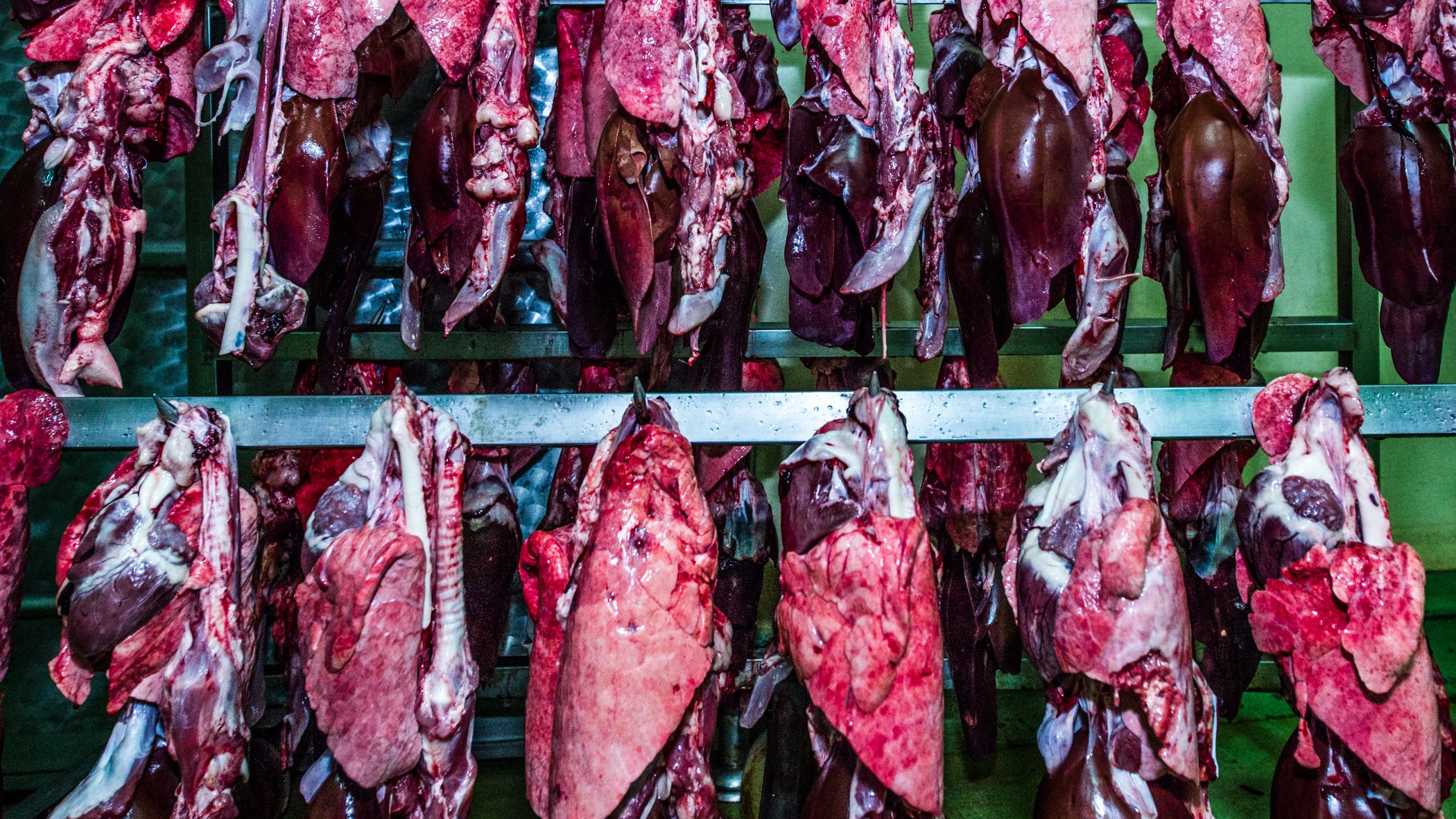 Killing for living — photograph 10, DSC_0575